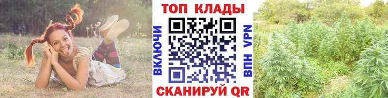Наркошоп купить Alpha-PVP  Меф  Александровское
