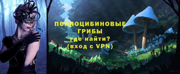 бошки Надым